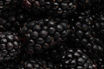 texture with blackberry closeup, background of berries, horizontal frame