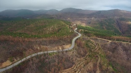 Aerial. Portuguese forest Monchique, after the fires view from the sky.