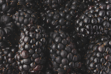 texture with blackberry closeup, background of berries, horizontal frame