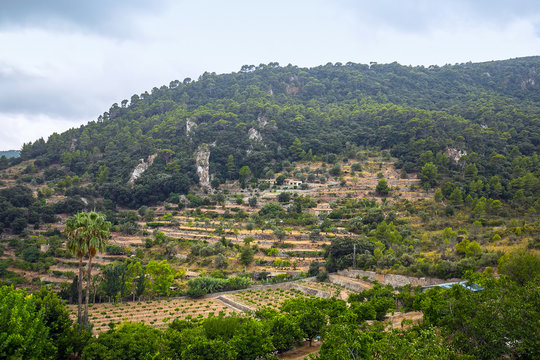  Valldemossa. Mallorca. Balearic Islands. Spain.