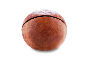 macadamia nut on white isolated background