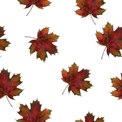 Obraz premium Watercolor hand drawn autumn leaf isolated seamless pattern.