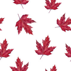 Watercolor hand drawn autumn leaf isolated seamless pattern.