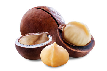 macadamia nut on white isolated background