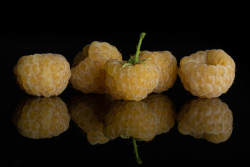 Group of five whole fresh golden hymalayan raspberry isolated on black glass