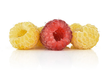 Group of two whole fresh golden hymalayan raspberry with one red berry isolated on white background