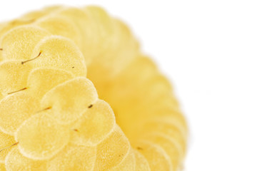 Closeup of one whole fresh golden hymalayan raspberry isolated on white background