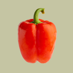 red bell pepper or paprika isolated on green background, top view for design