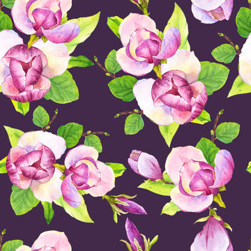 Spring seamless background with watercolor magnolia. Floral purple pattern with realistic flowers on black background for your design and decor.