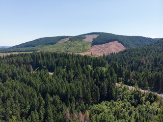 mountains and forest on the mountain shot from the top point, frame from a height