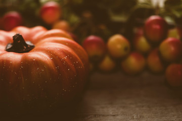 Dekoration Kürbis und Zieräpfel