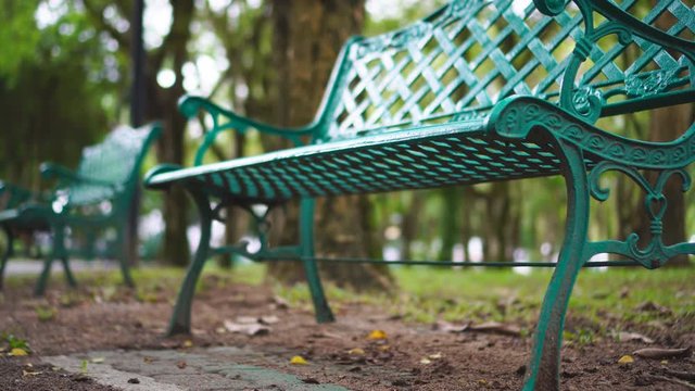 A still green chair in a relaxing atmosphere in a green park.
