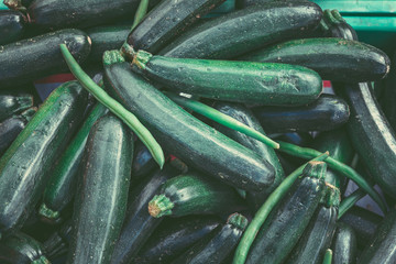 Fresh green Zucchini; Offer in the Sunday market; Summer squash