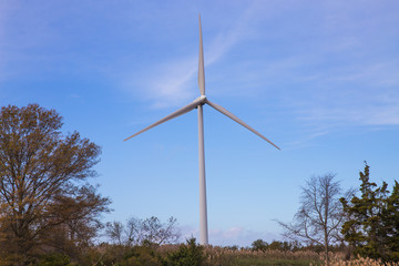 Fototapeta na wymiar windmill on the east coast of the US in southern Delaware