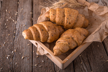 Freshly baked croissants on wooden boards, with wheat eart. Free space for text.