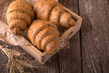 Freshly baked croissants on wooden boards, with wheat eart. Free space for text.