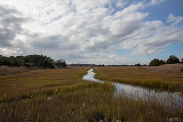 coastal marsh view along the atlantic ocean in lewes sussex country in southern delaware usa © yvonne navalaney