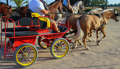 four-wheel cart hooked to two ponies