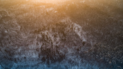 Aerial view of a snowy forest, during sunrise.