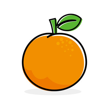 Orange vector illustration isolated on white background. Orange fruit clip art