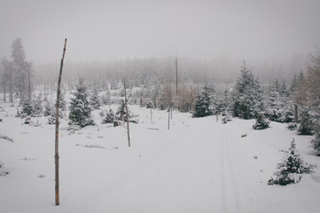 Skiing in Jeseniky mountains, typical misty weather on the top
