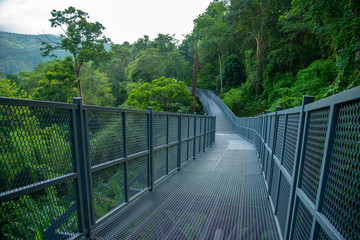 Canopy walkway ,Thailand's longest treetop walkway opens at the Queen Sirikit Botanical Garden