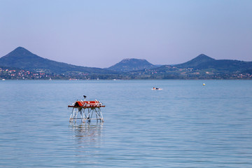 Lake Balaton view from Fonyod, Hungary.