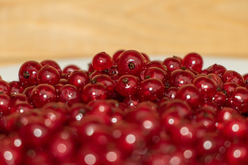 Red currant close up juicy and fresh