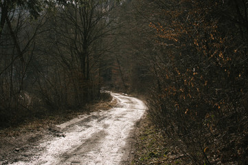 Last signs of winter in the valley near Hruba Voda