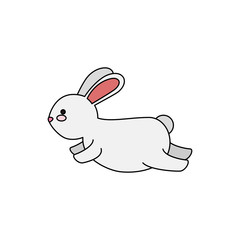cute and little rabbit character