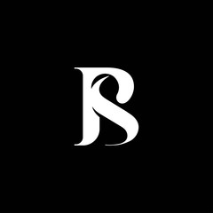 Letter B S icon logo design template.creative initial B S symbol inspiration	