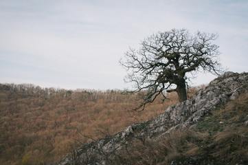 Sunrise on the top of Palava hills, frosty until the sun is up