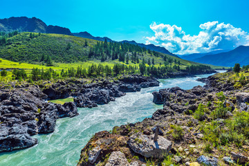 Katun river with rapids. Gorny Altai, Siberia, Russia