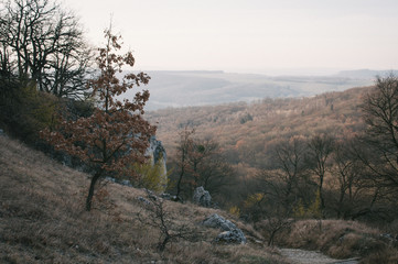 Sunrise on the top of Palava hills, frosty until the sun is up