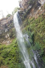 Obraz premium waterfall in forest