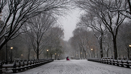 Schneetreiben in The Mall Central Park New York 