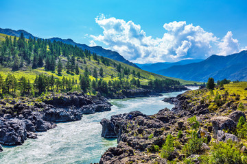 Katun river with rapids. Gorny Altai, Siberia, Russia