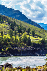 Katun river with rapids. Gorny Altai, Siberia, Russia