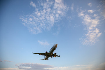 Fototapeta na wymiar 大阪空港に着陸する飛行機