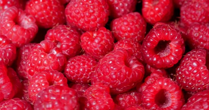 Close Up Rotation Loopable Raspberry. Fresh, Juicy Raspberry Background, Ripe. Macro Red Raspberries Fruit. Fresh Raspberry Fruits As Food Dackground. Healthy Food Organic Nutrition.