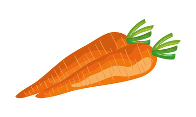 fresh carrots vegetable nature icon