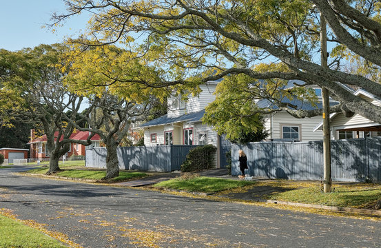 Auckland Green Street Suburban Neighborhood In New Zealand