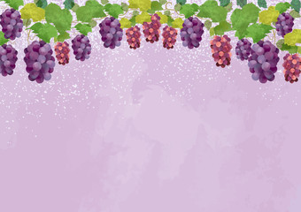 Fototapete ぶどう 10月 フレーム 植物 秋 果物 巨峰 マスカット フレーム Okaka08