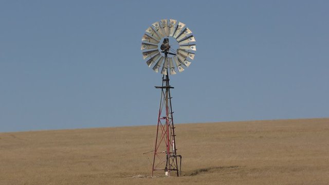 Iconic spinning wind mill on open field in outback Australia, with sunny blue sky and horizon as background.