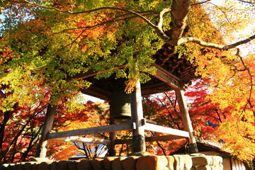 秋の伊豆修善寺　目に染む紅葉　