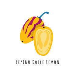 Pepino fruit flat vector illustration