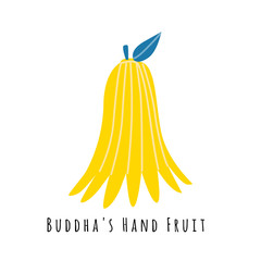 Buddhas fruit flat vector illustration