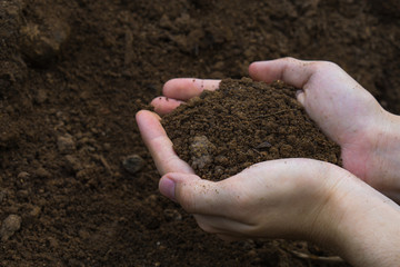 Two hands were holding soil for prepare planting.Symbol of spring and ecology concept