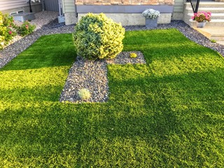 A beautiful morning view of the sun shining off of a fresh new green artificial synthetic grass...