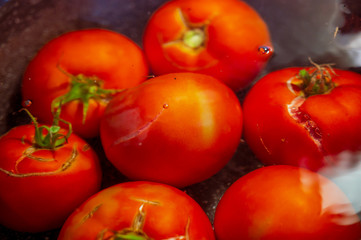 blanched tomatoes in boiling hot water